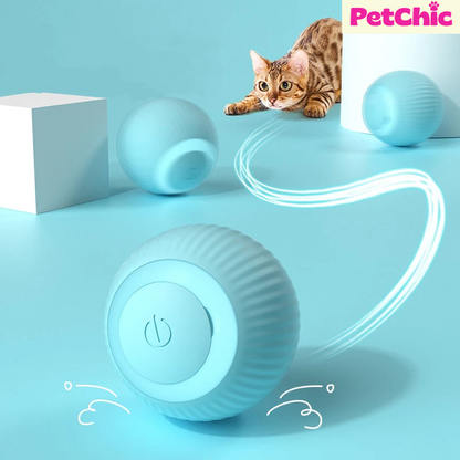 Bola Automotiva para Cães e Gatos – Brinquedo Interativo com Rotação Automática e Recarga USB