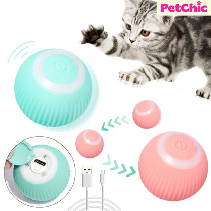 Bola Automotiva para Cães e Gatos – Brinquedo Interativo com Rotação Automática e Recarga USB